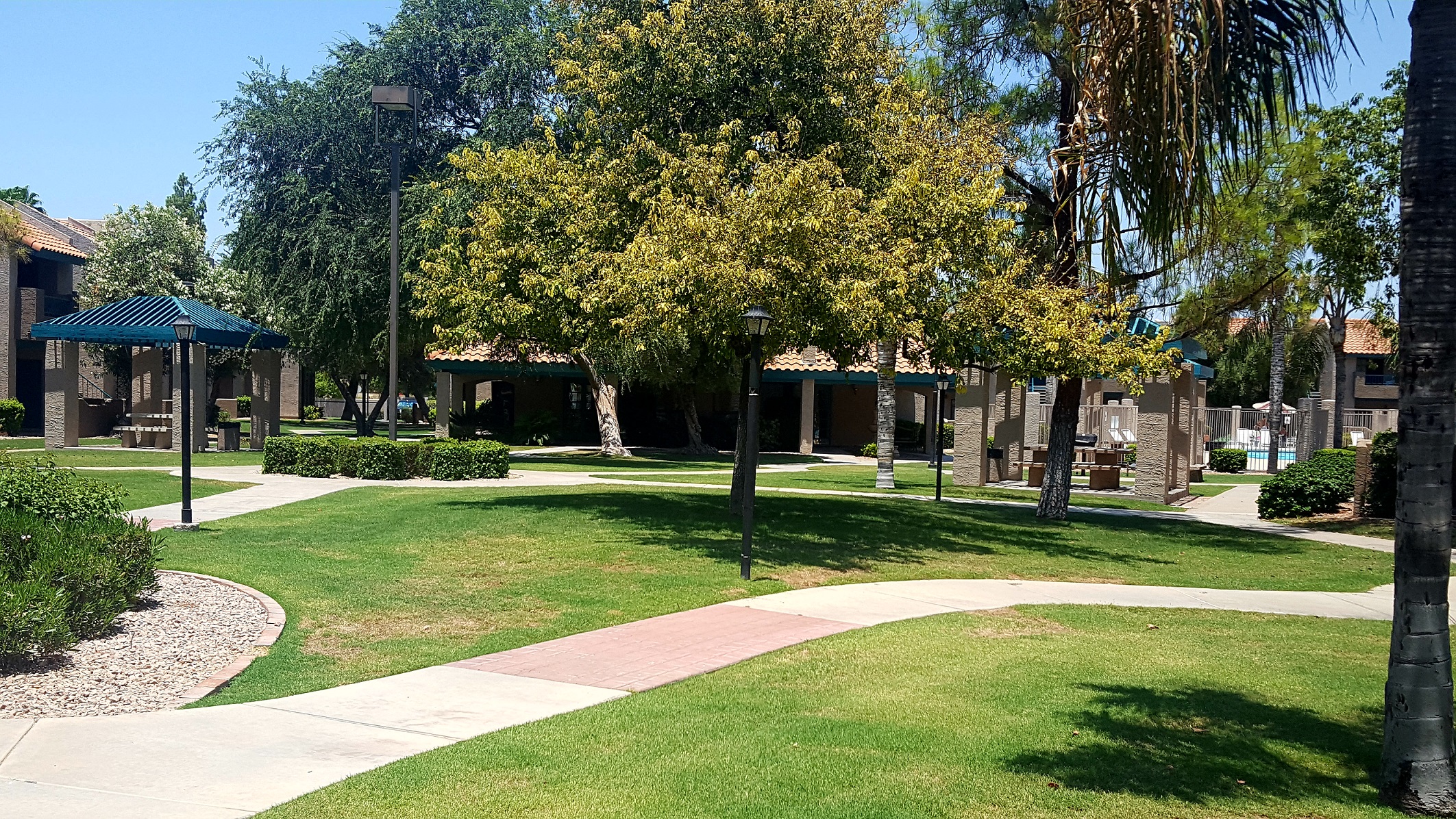 Kachina Apartments Apartments in Chandler, AZ